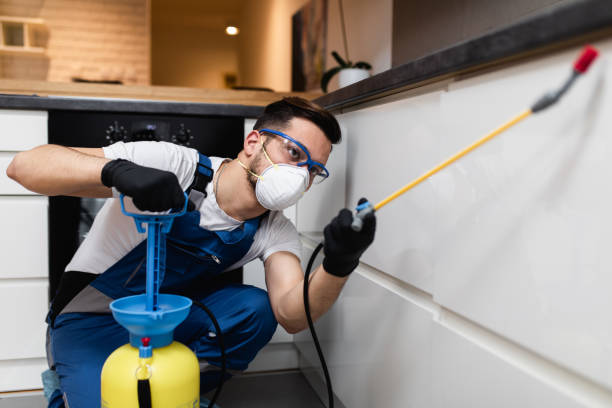 Best Wildlife Control Services  in Port St Joe, FL