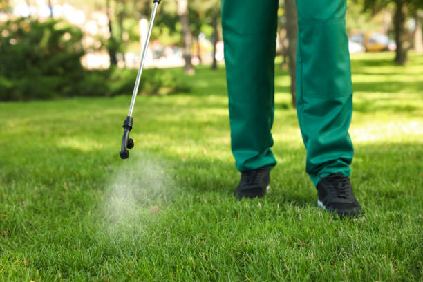 Best Pest Removal Services  in Port St Joe, FL