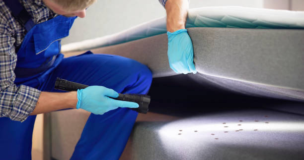 Best Pest Prevention Services  in Port St Joe, FL